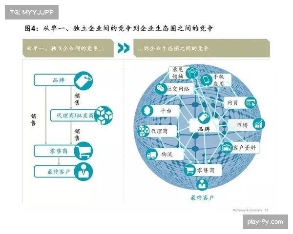 体育产业生态圈逐步形成 多元主体共促价值循环 体育产业生态圈逐步形成 多元主体共促价值循环